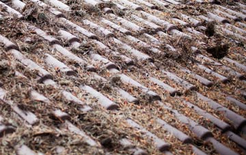 Pilsdon roof cleaning companies