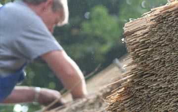 professional Pilsdon thatchers