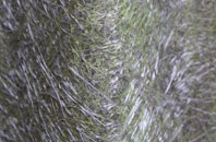 Pilsdon fibreglass roof work