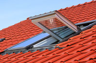 Pilsdon roof window